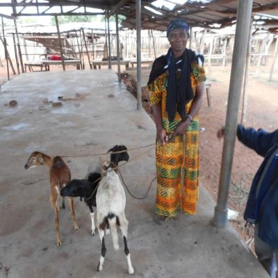 A88328467aee4ebc3f7d2df2d7448642